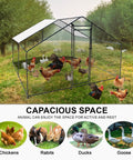 Walk In Heavy Duty Chicken Coop With Large Outdoor Run 9.8 Feet Long 9.8 Feet Wide 6.6 Feet High Sturdy Steel Frame in field