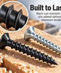 Beast Mode Wood Screw Assortment Kit With Plastic Anchors 230 Pieces Size Six And Eight Phillips Head black and zinc-plated screws