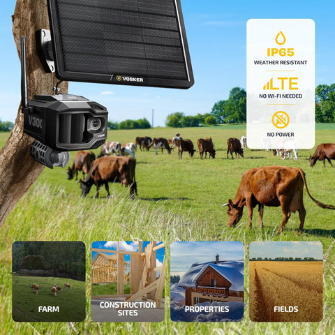 Zero Fuss Off Grid Farm Security Camera Using 4G LTE Cellular Data And Rock Solid Solar Setup mounted in pasture watching cattle.