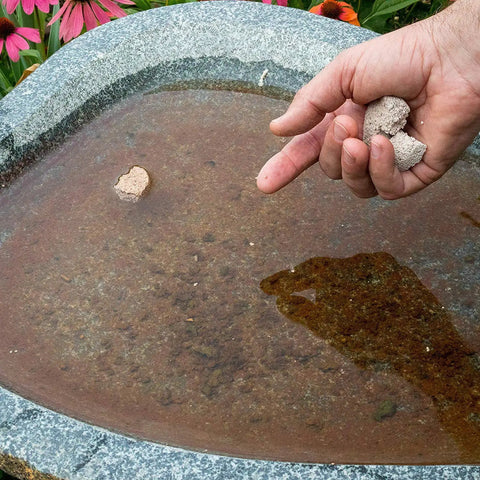 Applying Organic Mosquito Dunk Larvicide to a bird bath with a hand holding the disc near water.