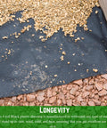 Heavy Duty 4 Mil Black Plastic Sheeting Weed Barrier installed beneath gravel in outdoor garden for weed control