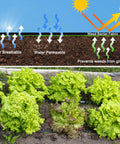 Diagram showing Heavy Duty Weed Barrier Landscape Fabric 3.2oz Premium Ground Cover Mat For Gardens And Pathways stopping weeds