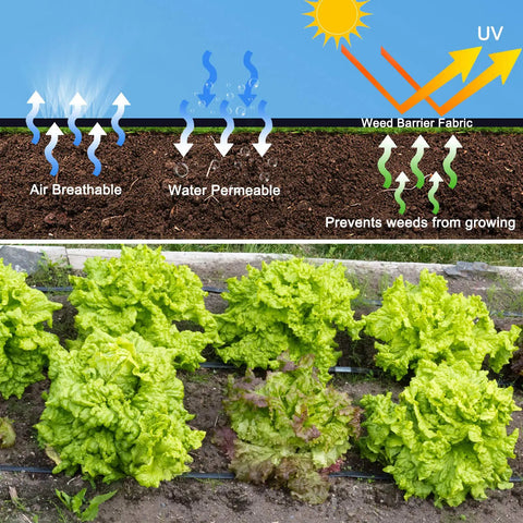 Diagram showing Heavy Duty Weed Barrier Landscape Fabric 3.2oz Premium Ground Cover Mat For Gardens And Pathways stopping weeds