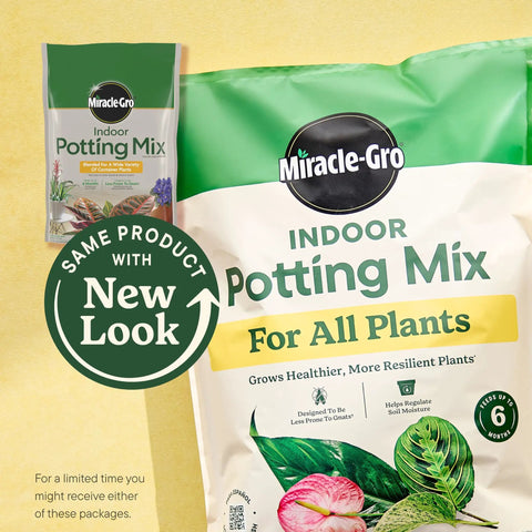 Start Your Indoor Plant Glow Up For Top Shelf Potting Mix For All Houseplants Keeping Roots Thriving For Up To Six Months With Peat Moss Coconut Coir And Perlite Boosting Water Retention And Release In A 6 Quart 2 Pack Bundle Ready For Any Room.