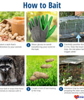 Instructions for using Medium One Door Live Catch Humane Trap For Rabbits Skunks Minks And Squirrels With Smooth Internal Edges And A Handle Guard For Safe Humane Release Pro Style Catch And Release Trap