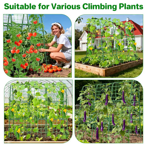 U Shaped Garden Trellis For Raised Beds Outdoor Climbing Plants, Built Tough Metal Arch Support For Tomatoes Peppers Cucumbers Peas Zucchini, Improves Airflow And Sunlight, 47.2In L By 30In W By 47.2In H in use with vegetables