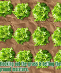 Biodegradable Paper Weed Barrier For Garden Beds Three 100 Foot Rolls Heavy Duty Landscape Paper Fabric Grass Blocker