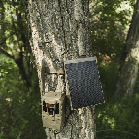 Top Tier Solar Panel For Trail Cameras With Slick Fast Charging And 5000 Milliamp Power Bank mounted on tree next to trail camera.