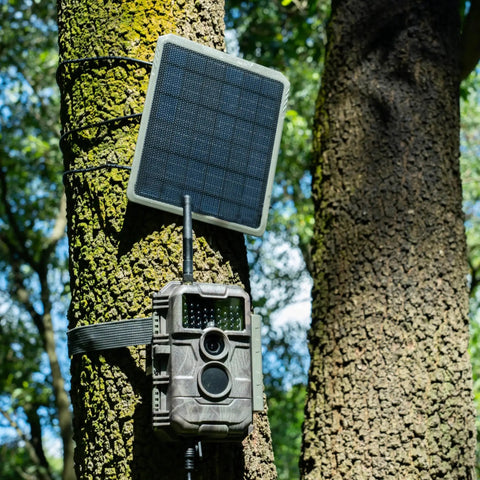 SP300 3.5W Solar Panel for Trail Camera Lithium Battery Charger mounted on tree, powering outdoor wildlife tracker.