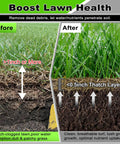 Before and after image showing lawn with thatch layer comparison, highlighting benefits of using Wheeled Thatch Rake For Lawns, 15.28 Inch Steel Dethatcher With Adjustable 0 To 15 Degree Angle And 62.99 Inch Handle, Heavy Duty Yard Tool For Dead Grass Moss Removal And Lawn Care.