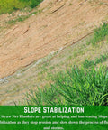 Straw Erosion Control Blanket For Lawns And Slopes No Nonsense Moisture Retention Garden Cover Mulch And Seed Protector installed on a slope.