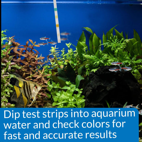 Hella Reliable 5In1 Aquarium Test Strips Keep Your Freshwater And Saltwater Tanks Flopping Smooth Checks PH Nitrite Nitrate Hardness 100 Count with aquarium plants and fish.
