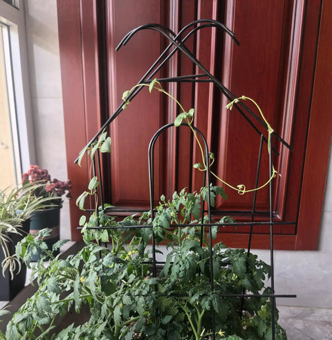 4 Pack 24 Inch Metal Garden Trellises for Climbing Plants Indoors Outdoors with Vines, Black Trellis in Small Pot, Rust Resistant