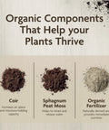Organic Indoor Potting Mix With Smart Moisture Regulation Keeps Soil Balanced So Your Houseplants Stay Happy Not Flopped Or Parched Made With Premium Sphagnum Peat Moss For Strong Roots And Lush Growth Perfect For Any Indoor Garden Setup 16 Quarts components coir, sphagnum peat moss, and organic fertilizer.