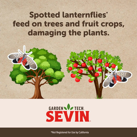 Illustration of trees with spotted lanternflies, showcasing pest impact on trees, related to Garden Insect Killer Concentrate 32 Oz