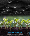 Heavy Duty 4 Ounce Non Woven Geotextile Fabric For Landscaping Drainage French Drains Underlayment Erosion Control And Construction Projects Easy To Cut Quick Install Durable Material 3x50 Pack installed over seedlings showing water permeability.
