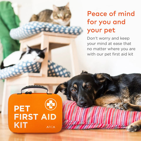 Dog resting by orange Pet First Aid Kit For Cars And Travel With Digital Thermometer Muzzle And Mini First Aid Pouch Vet Endorsed Cat And Dog Emergency Kit For Home Office Road Trips Camping
