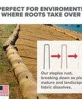 Installed dissolving garden landscape staples 6 inch pins for weed barrier fabric stakes 11 gauge steel 200 pack made in USA non galvanized rusting