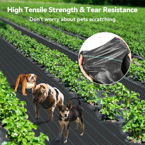 Heavy Duty Woven Weed Barrier Fabric 4 Ft By 300 Ft 3.2 Oz Landscape Underlayment For Garden Beds with pets on fabric