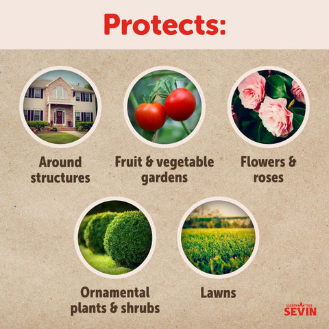 Image showing protection areas of Sevin Insect Killer Dust: around structures, gardens, flowers, ornamental plants, and lawns.