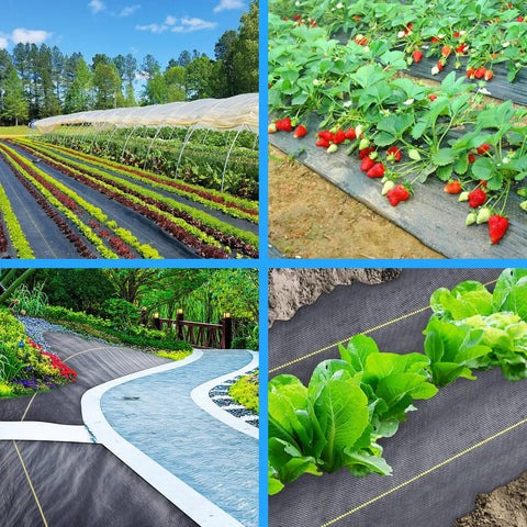 Heavy Duty Black Weed Barrier Fabric 6 Ft By 300 Ft Premium 3.5 Oz Woven Ground Cloth installed in garden paths and vegetable beds