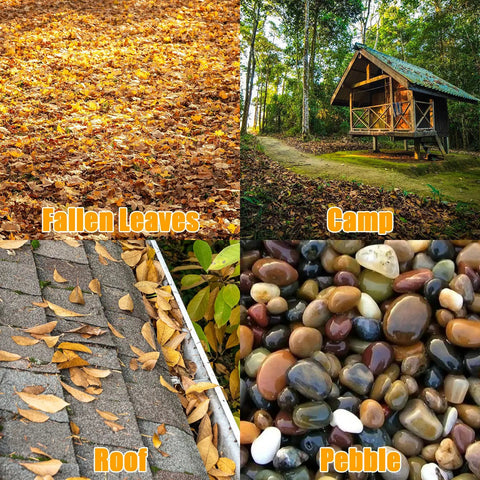 Collage of fallen leaves, a camp cabin, leaves on a roof, and multicolored pebbles.