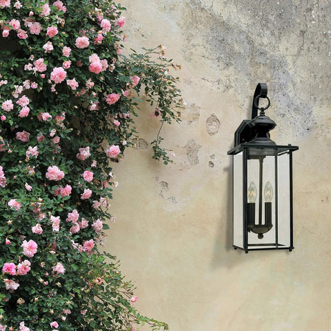 Outdoor Wall Lantern Black Finish, Transitional Jamestowne Style 1 Light Porch Light on rustic wall with pink roses