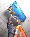 Man installing Ocean Coral Reef fluorescent light cover for 2x4 ceiling lights in classrooms to cut glare and eye strain.