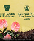 Start Your Indoor Plant Glow Up For Top Shelf Potting Mix For All Houseplants Keeping Roots Thriving For Up To Six Months With Peat Moss Coconut Coir And Perlite Boosting Water Retention And Release In A 6 Quart 2 Pack Bundle Ready For Any Room.