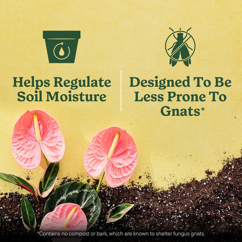 Start Your Indoor Plant Glow Up For Top Shelf Potting Mix For All Houseplants Keeping Roots Thriving For Up To Six Months With Peat Moss Coconut Coir And Perlite Boosting Water Retention And Release In A 6 Quart 2 Pack Bundle Ready For Any Room.