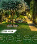 Garden illuminated with 10/2 low voltage landscape wire, 100 ft, pure copper, 2-conductor outdoor direct burial cable for landscape lighting.