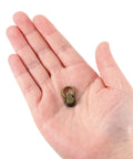 Hand holding Ball Stud Rivet Set for Purses and Leather Crafting, Four Pieces with D Ring Connector, compact size view