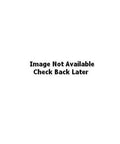 WVE VAPOR CANISTER replacement