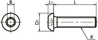 Technical drawing of ✝️ SNBS-#10-32-1/4 NBK Hex Socket Head Cap Screws - Inch Thread- Pack of 10. - Made in Japan, showing dimensions and design.