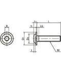 Technical diagram of SFBS-M5-20 NBK Socket Button Head Cap Screws - Flange 20-Pack - Made in Japan for smooth motion and stable alignment.