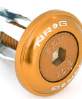 Close-up of Rose Gold Fender Washer Kit M6 1 Thread Bolts from the 10 Piece set, highlighting the gold plating and threading detail.