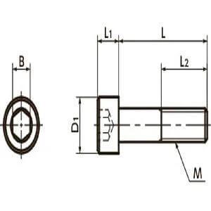 Technical drawing of ✝️ SNST-M3-5 NBK Hex Socket Head Cap Screws - Titanium- Made in Japan for smooth motion and stable alignment.