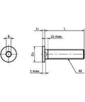 Technical drawing of ✝️ SSHT-M6-12 NBK Socket Head Cap Screws - Special Low Profile - Pure Titanium - Made in Japan, dimensions included