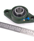 2 Pcs UCFL206-19 Bore 1-3/16" Pillow Block Flange Mounted Ball Bearings with solid cast iron base next to a ruler.