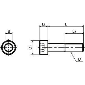 Technical diagram of SNSX-M6-20-88 NBK Hex Socket Head Cap Vacuum Vented Screws - High Intensity S.S. - Made in Japan for automation.